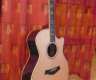 Top Taylor Akustikgitarre